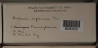 Image Associated With the Occurence